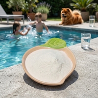 CYA08203 Stabilisateur d'eau de piscine avec soin hebdomadaire, emballage scellé anti-humidité, entrepôt USA