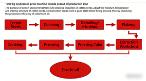 Línea Automática de Procesamiento de Aceite de Colza, Solución Llave en Mano para Planta de Fabricación de Aceite Comestible, Equipo de Extracción de Aceite - Product Image 6