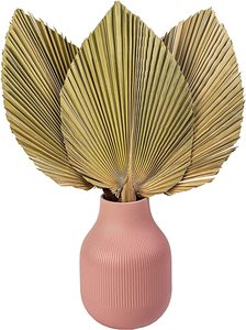 Gros Offre Spéciale Artificielle Naturel Séchés Transformés Feuilles De <span class=keywords><strong>Palmier</strong></span> <span class=keywords><strong>Sèche</strong></span> Ventilateur <span class=keywords><strong>Feuille</strong></span> Blanchis Pour De Mariage Arrangement floral Décoration - Product Image 3