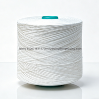 Fil de polyester vierge 100% certifié OEKO-TEX Bingdong, haute ténacité, écologique, pour la couture, nombre de fils personnalisable