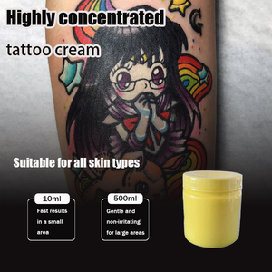 Crema para Tatuajes de la Mejor Calidad, 500G, Piel Sintética para Prácticas de Tatuaje y Laminación de Cejas, Paquete de Pigmentos para Maquillaje Permanente - Product Image 3