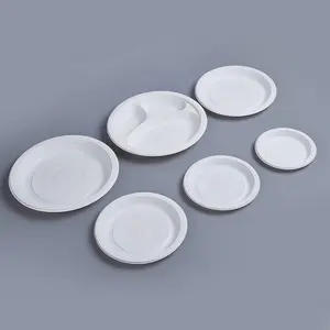 Assiettes séparées rondes de 10 pouces en plastique, 3 compartiments, plastique écologique jetable dîner pique-nique assiette de fête, Support moderne 12 pièces