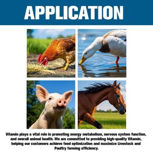 Poudre de vitamine B3 d'additif alimentaire, supplément de niacine pour rehausseur de santé de volaille de bétail de poulets - Product Image 2