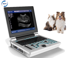 Pemindai Ultrasound hitam dan putih Laptop soket ganda LCD 12.1 "Portabel medis harga murah dengan <span class=keywords><strong>Probe</strong></span> Array cembung - Product Image 3