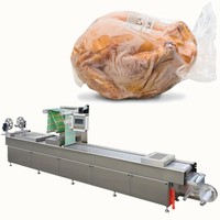 Machine d'emballage thermoformant pour poulet entier, machine thermoformeuse sous vide pour poulet, empaquetadora de pollo