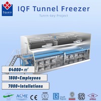 IQF Tunnelvriezer Grote Capaciteit Automatische Vrieslijn voor Groenten en Fruit, Tunnelvriezer met Vloeibaarbed