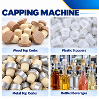 Machine automatique de bouchage et de capsulage de bouteilles d'alcool en acier inoxydable, machine de pressage de bouchons de bouteilles d'alcool conformes aux normes nationales