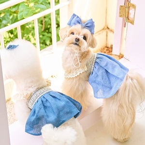 Blue Lace Trim Dog Dress with Bow Hairpin Set Breathable Pet Sundress for Small Dogs Bichon <strong>Maltese</strong> - Product Image 5