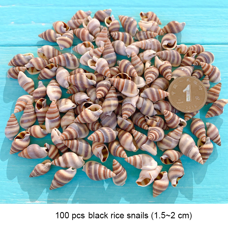 100pcs 1.5-2cm