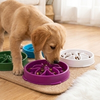 Gamelle anti-étouffement colorée en PP à grand diamètre pour animaux de compagnie, bol antidérapant pour chien, gamelle anti-ballonnements pour animaux