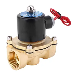 2W250-25 DN25 1'' Brass solenoid valve switch