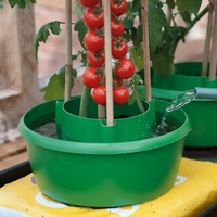 Pots à tomates auto-arrosants en plastique pour jardin domestique