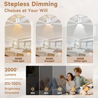 YOUKAIN 5 pales LED ventilateur de plafond lumière télécommande DC économie d'énergie 52 pouces ventilateur domestique silencieux lames en bois massif