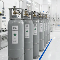 Cilindro de Gas de Dióxido de Carbono CO2 ISO9809, 40L 50L 150Bar, Botella de Gas Industrial de Acero sin Costuras de Alta Presión, Precio de Fábrica