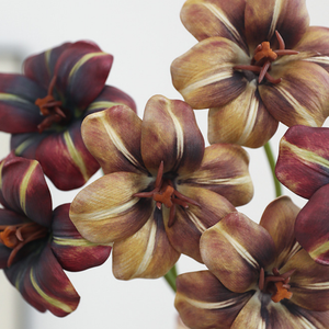 Flor Artificial de Concha Marina de Simulación Premium para Decoración <span class=keywords><strong>del</strong></span> <span class=keywords><strong>Hogar</strong></span>, Paisajismo y Arreglos Florales - Product Image 4