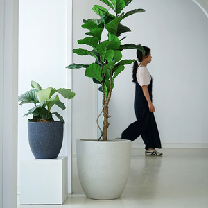 Vaso per Bonsai Grande <span class=keywords><strong>in</strong></span> Fibra di Vetro e <span class=keywords><strong>Cemento</strong></span> con Design Moderno e Foro di Drenaggio per Decorazione - Product Image 5