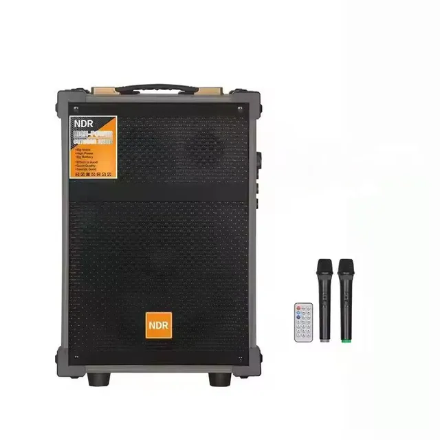 12 Inch Portable Trolley Wooden Box Speaker with 2 Microphones and Remote Control