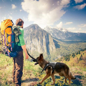 Chaleco Táctico para Perro, Talla Mediana a Grande, Nailon Impermeable, Arnés de Entrenamiento para Uso en Exteriores - Product Image 2