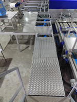 Rampe inclinée sur mesure avec escalier, plateformes d'automatisation industrielles en aluminium à vendre