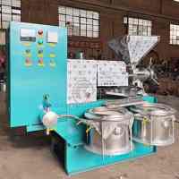 Presse à huile industrielle à double vis à froid de grande capacité pour maïs, neem, arachide, sésame, palme, noix de coco, pour le Ghana