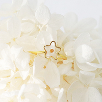 Nouveau design de bagues en cuivre plaqué or en résine transparente bijoux pour femmes bague en graines de moutarde en résine