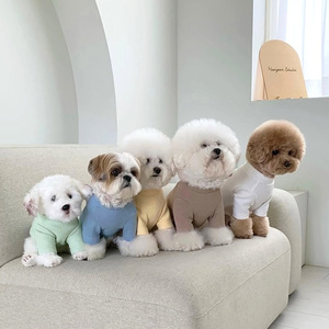 Maglietta Estiva Sottile per Cani di Piccola Taglia: Teddy, Bichon, Pomeranian, Yorkie, Schnauzer - Product Image 5