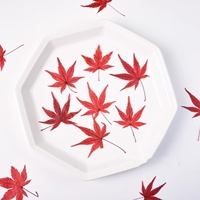 Feuilles d'érable séchées naturelles pressées, colorées, rouges et vertes, pour la résine, l'art, le bricolage, les bijoux, les cartes