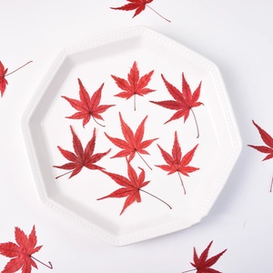 Foglie d'Autunno Colorate Naturali Essiccate in Pezzo Unico, Rosso e <span class=keywords><strong>Verde</strong></span>, per Resina, Arte, Fai-da-Te, Gioielli e Biglietti - Product Image 6
