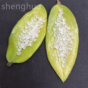 Polypropylène en plastique de haute qualité d'usine Pp710 200rp 500rpt03 T30s pp Granules de matière première en plastique - Product Image 4