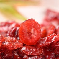Groothandel Gedroogde Cranberries, Gedroogde Bessen Zonder Zwavel, Gedroogde Fruit, Gebakken Yoghurt Schaaltjes, Snacks, Bulk Leverancier