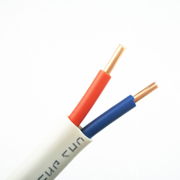 Kabel dan Kawat Tembaga Putih 2 3 Inti untuk Perbaikan Rumah BVVB 2 1/ 1.5/ 2.5/ 4/ 6 Mm Kabel Daya dan Kawat Listrik