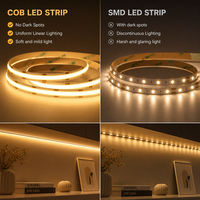 Bande LED COB BERIXDEEP DC24V 8mm 624 LED/M, double couleur, auto-adhésive, découpable, IP20, flexible, sans points, pour la décoration