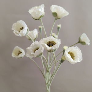 <span class=keywords><strong>Fleurs</strong></span> artificielles de pavot réalistes de haute qualité à 5 têtes avec flocage pour la décoration de mariage, <span class=keywords><strong>fleurs</strong></span> artificielles pour hôtel - Product Image 3