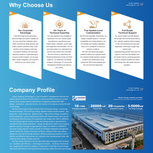 Fabriekslevering 1,5 MW 1500 kW kolenbodemgasgeneratorset 1875 kVA gasgenerator Leroy-Somer PMG alternator voor grootschalige mijnen - Product Image 6