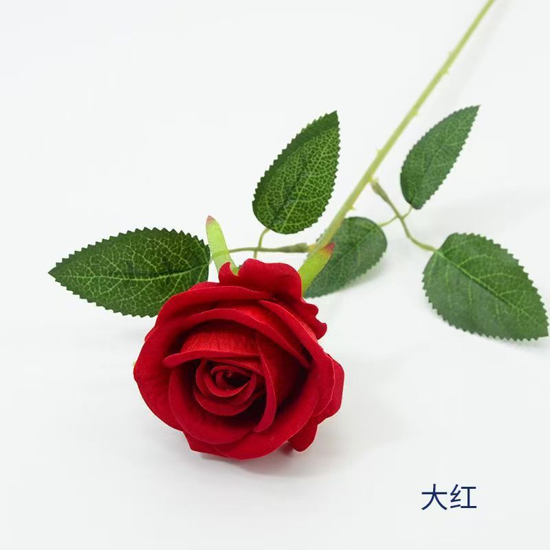 Velours rose rouge