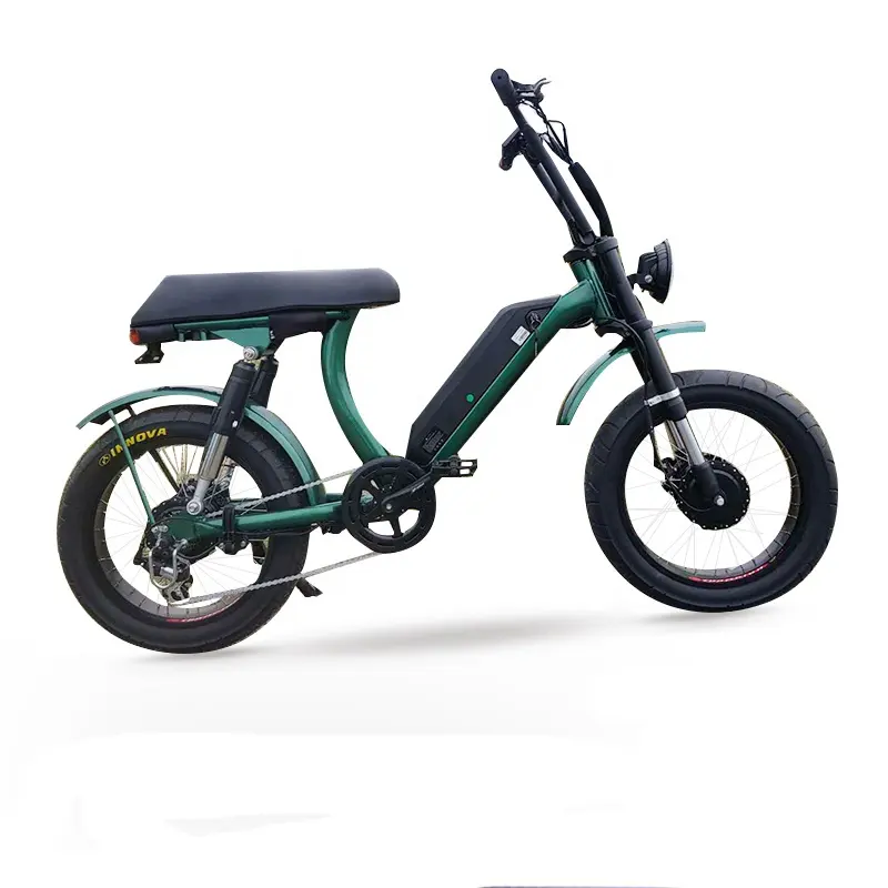 Lunga distanza 500w doppio motore elettrico fat tire bike con batteria rimovibile