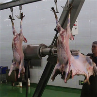 Ligne d'abattage automatique de moutons avec équipement de transformation de viande pour abattoir de moutons