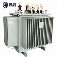 Transformateur de puissance immergé dans l'huile à enroulements en cuivre IEC 60076, 6 kV, 13,8 kV, 20 kV, 33 kV, 100 kVA, 250 kVA, 315 kVA, 500 kVA, 630 kVA, 800 kVA, 1250 kVA