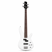 Guitare Basse Électrique 4 Cordes Finition Polie - Micro PJ Corps en Tilleul Manche en Érable Touche en Palissandre Personnalisation OEM