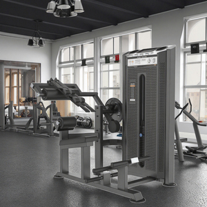 Équipement de fitness de qualité supérieure pour la musculation du dos et des abdominaux, machines à sélection de charge par broche L-8013A pour salles de sport - Product Image 6