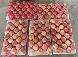 Ngon ngọt Fuji Táo Đỏ Táo giá bán buôn táo tươi với số lượng lớn từ Trung Quốc - Product Image 5