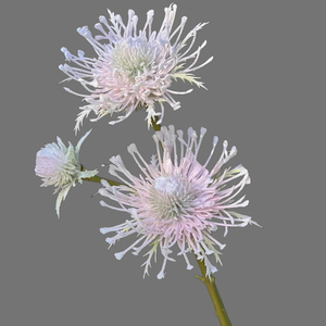 Fleur artificielle Leucospermum à 3 têtes, 68 cm <span class=keywords><strong>de</strong></span> long, tête <span class=keywords><strong>de</strong></span> 12 cm, toucher réel, pour décoration <span class=keywords><strong>de</strong></span> mariage, hôtel, maison et usage commercial (vente en gros) - Product Image 1