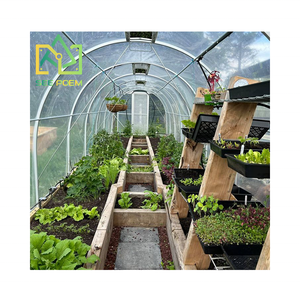 Tunnelhouse de Style néo-zélandais pour abri de plantes d'arrière-cour serre maison jardin Mini Kits de maison verte couverture avec Film plastique - Product Image 6