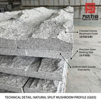 Dalles de revêtement en pierre de granit blanc sésame G603 de qualité supérieure - Carreaux muraux vieillis à relief élevé pour bâtiments commerciaux