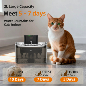 <span class=keywords><strong>Fontaine</strong></span> à <span class=keywords><strong>eau</strong></span> automatique pour animaux de compagnie en acrylique, <span class=keywords><strong>distributeur</strong></span> d'<span class=keywords><strong>eau</strong></span> pour chat de haute qualité, gris transparent - Product Image 5