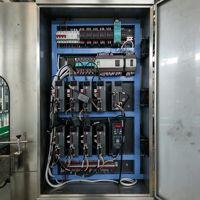 Machine de remplissage automatique de sauces et d'huiles, entraînée par un moteur servo, 6 buses, remplisseuse de bouteilles en acier inoxydable anti-mousse pour usine alimentaire