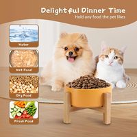 Bol de nourriture pour chat sans stress avec support en bambou plat pour chien surélevé pour chiots mangeoire pour animaux de compagnie en céramique surélevée