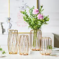 Nordic Golden Glass Terrarium Geometric Iron Line Vase