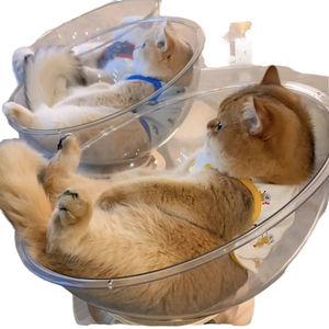 Tüm sezon yüksek şeffaflık akrilik katı ahşap kedi oyuncak uzay kapsülü kış sıcak kedi yuva Pet malzemeleri Mat pedleri - Product Image 1