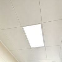 Panneau de plafond en alliage d'aluminium écologique 300x600, facile à nettoyer, léger, plafond suspendu pour les espaces commerciaux